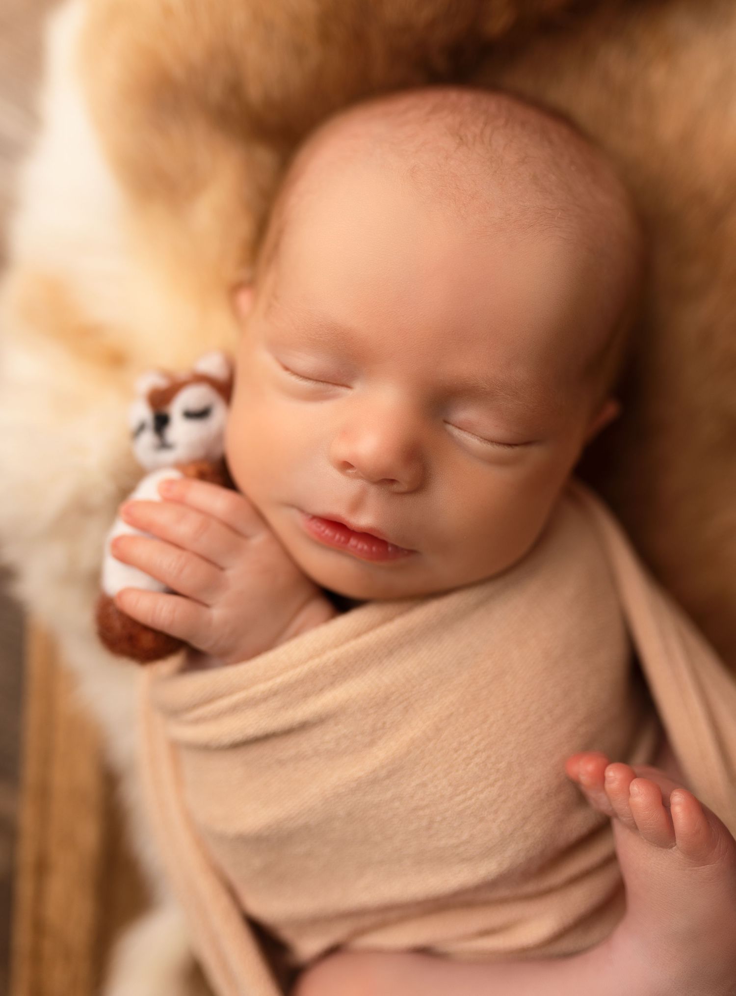 Newborn Pictures Greenup Kentucky | Greenup Kentucky Baby Photographer | Bailey's Photography