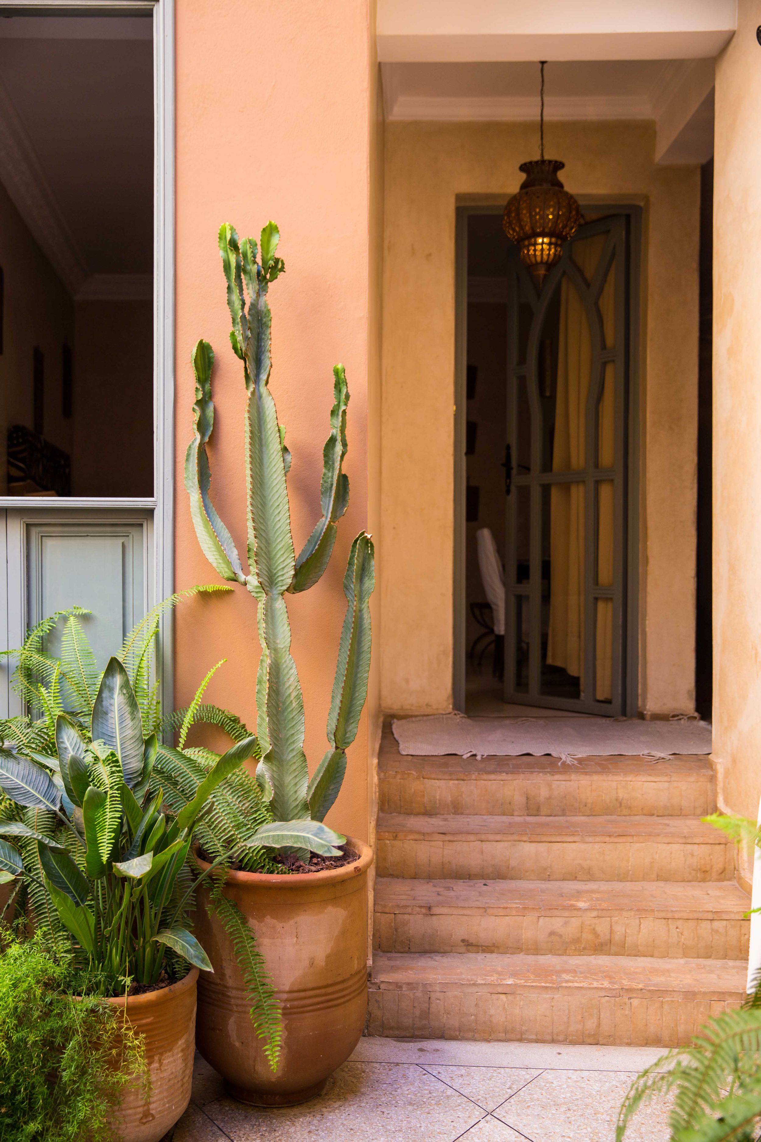Entrance to Mediterranean style home with tall cactus plants and terra cotta pots.