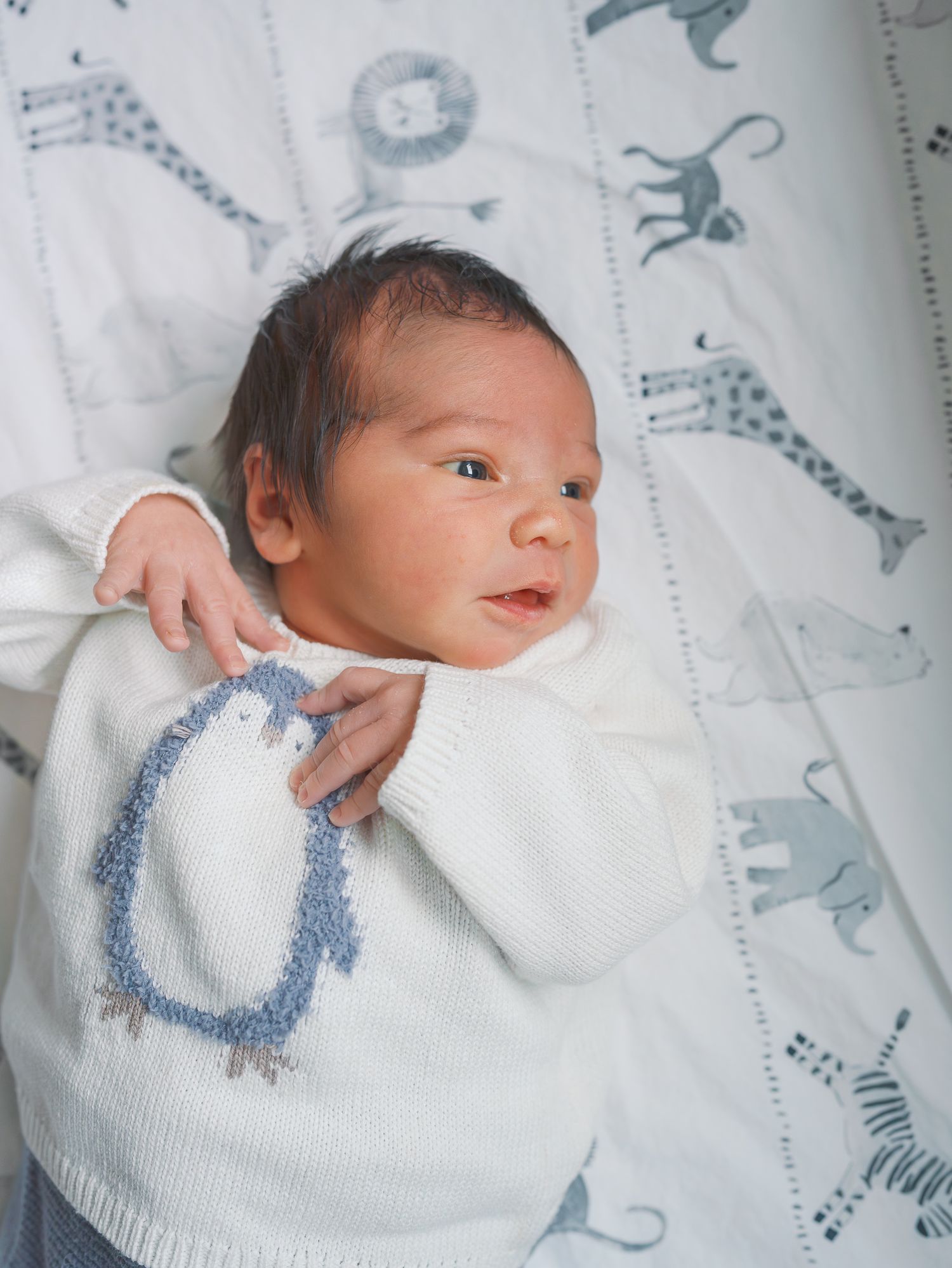 Newborn baby in white knit sweater with blue lion design, lying on animal print blanket.