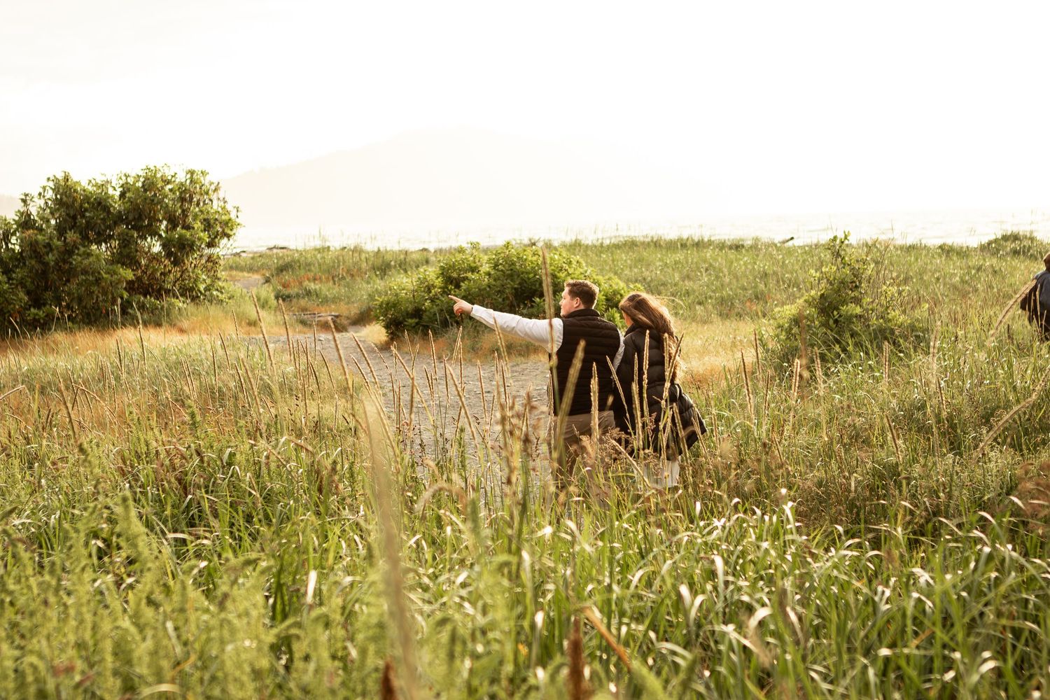 A silhouetted figure stands in a golden meadow of tall grass during sunset.
