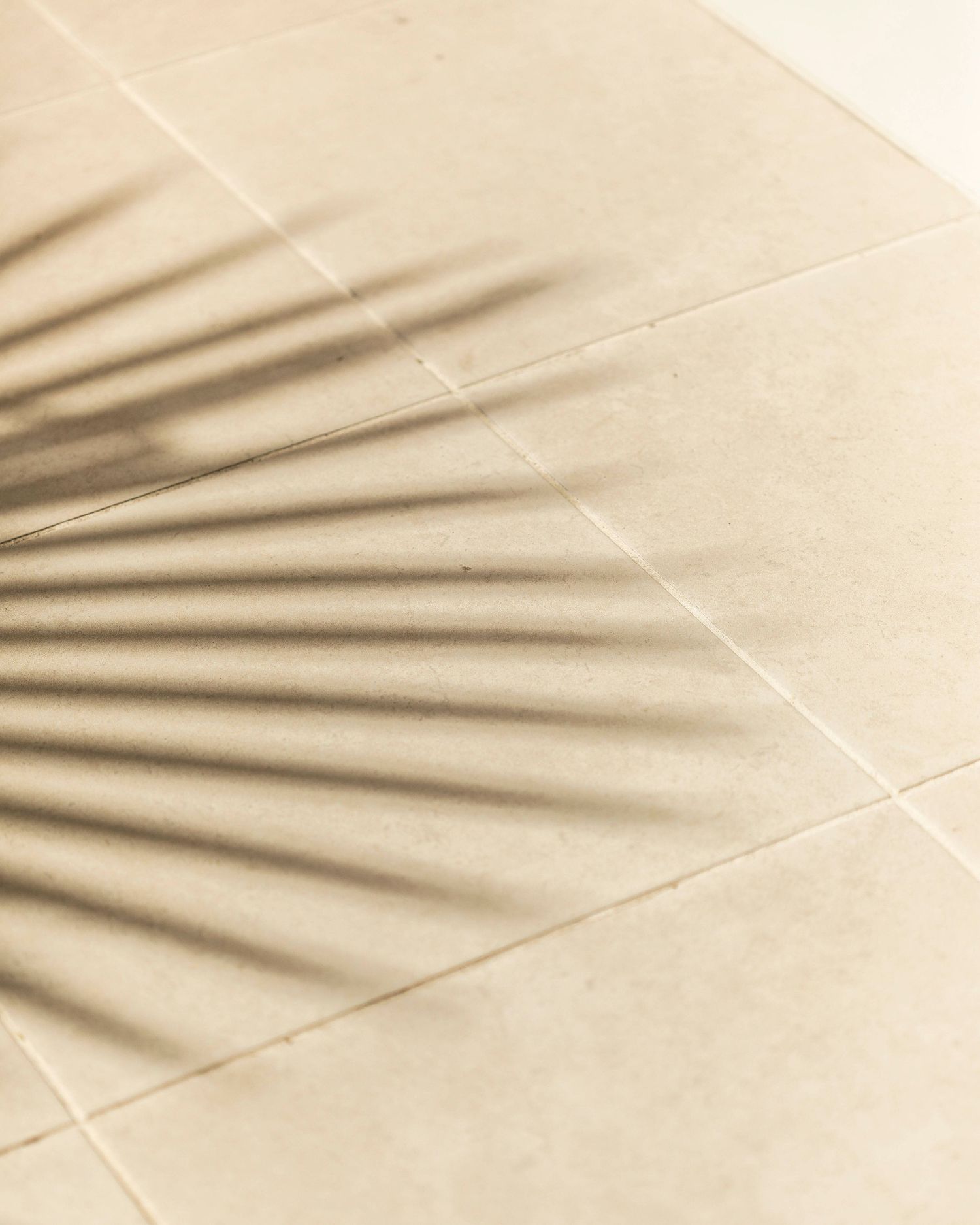 Palm leaf shadows creating diagonal lines on beige textured tiles.