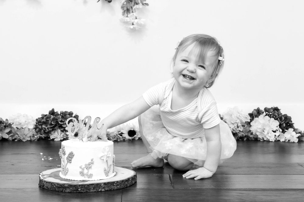 She's a Wild One Cake Smash from Edmonton Based Photographer