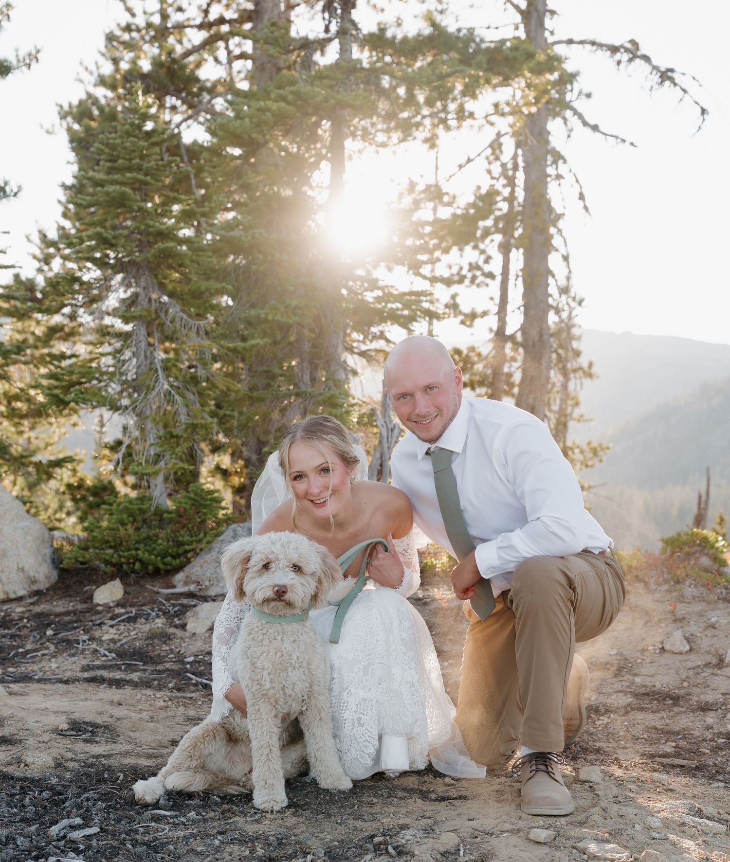 A couple poses with their fluffy goldendoodle dog on a mountaintop at sunset with evergreen trees in the background.