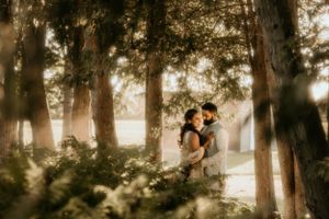 Romantic silhouette of couple embracing among tall trees at sunset.