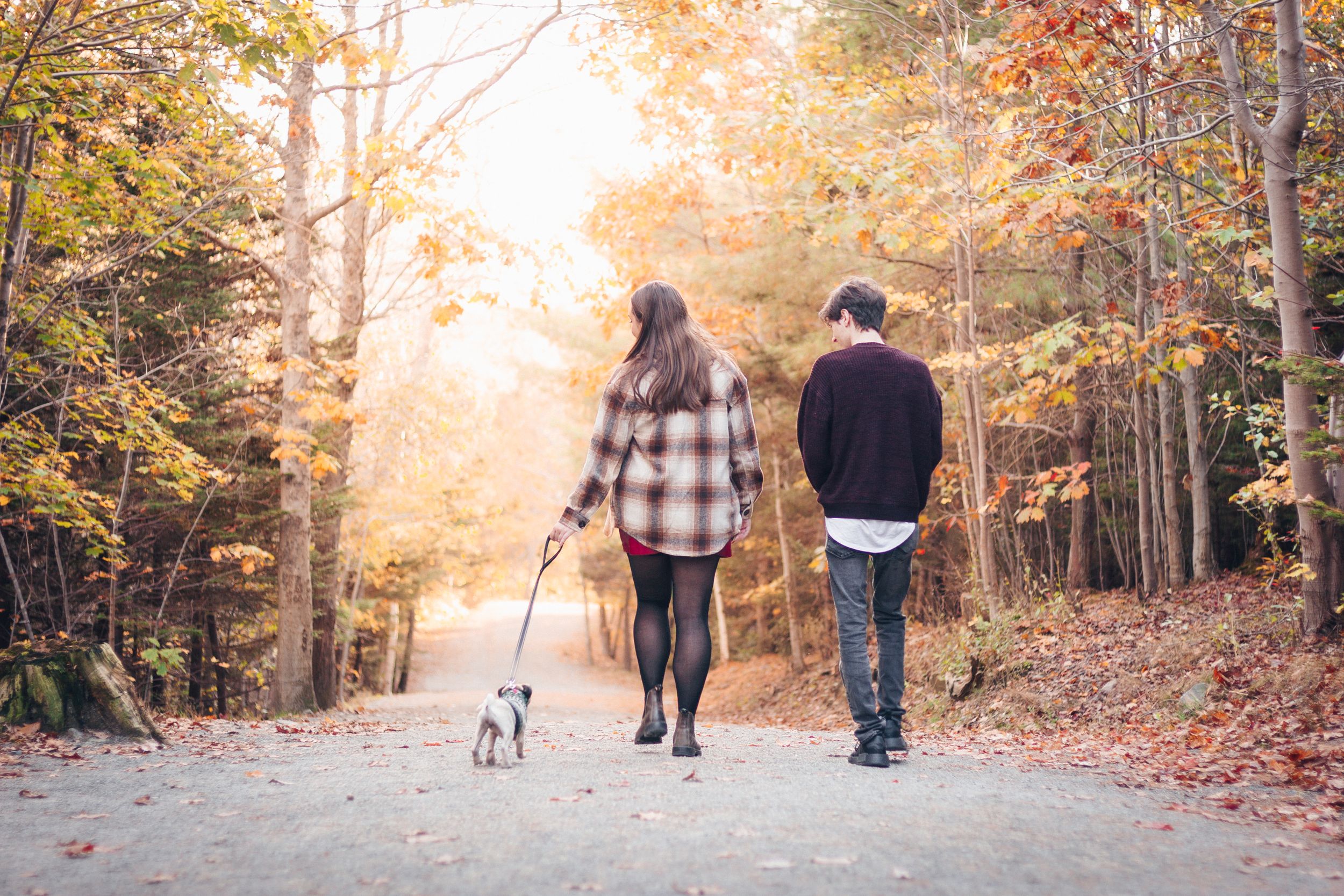 Couple walking their dog surrounded by fall colours in Point Pleasant Park, Halifax, taken by Daneesha Williams
