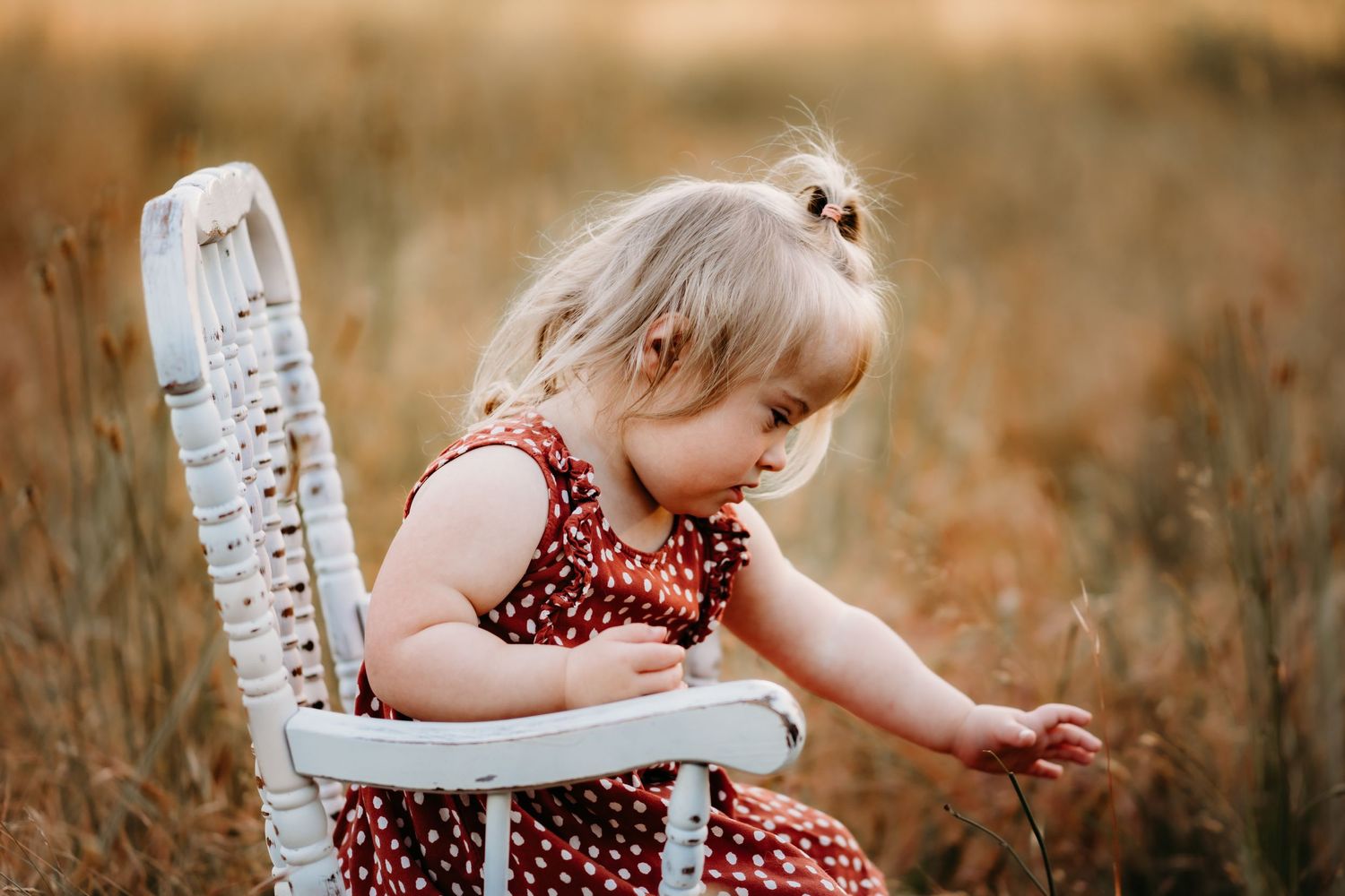 A young child in a red polka dot dress sits on a white chair in a golden field during sunset.