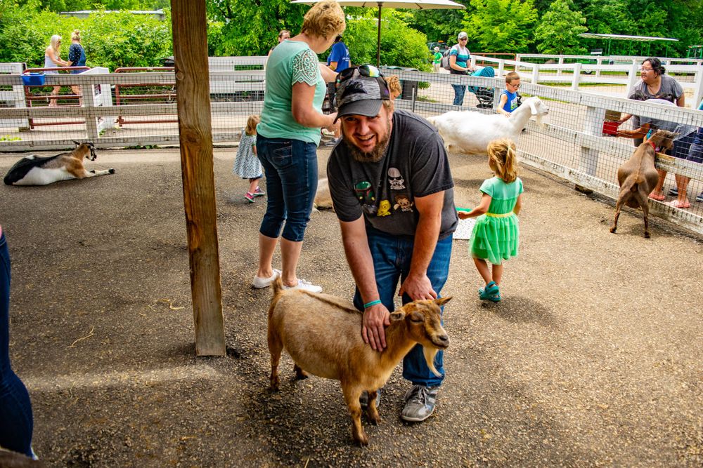 A small brown goat stands with visitors in a covered farm area.