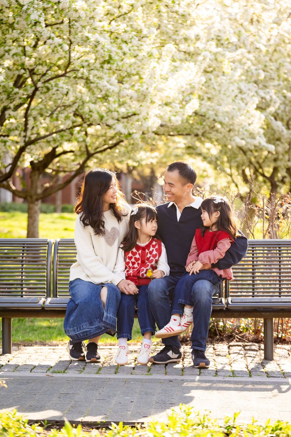 Asian family of four sitting on a park bench surrounded by blooming white cherry blossom trees in spring.