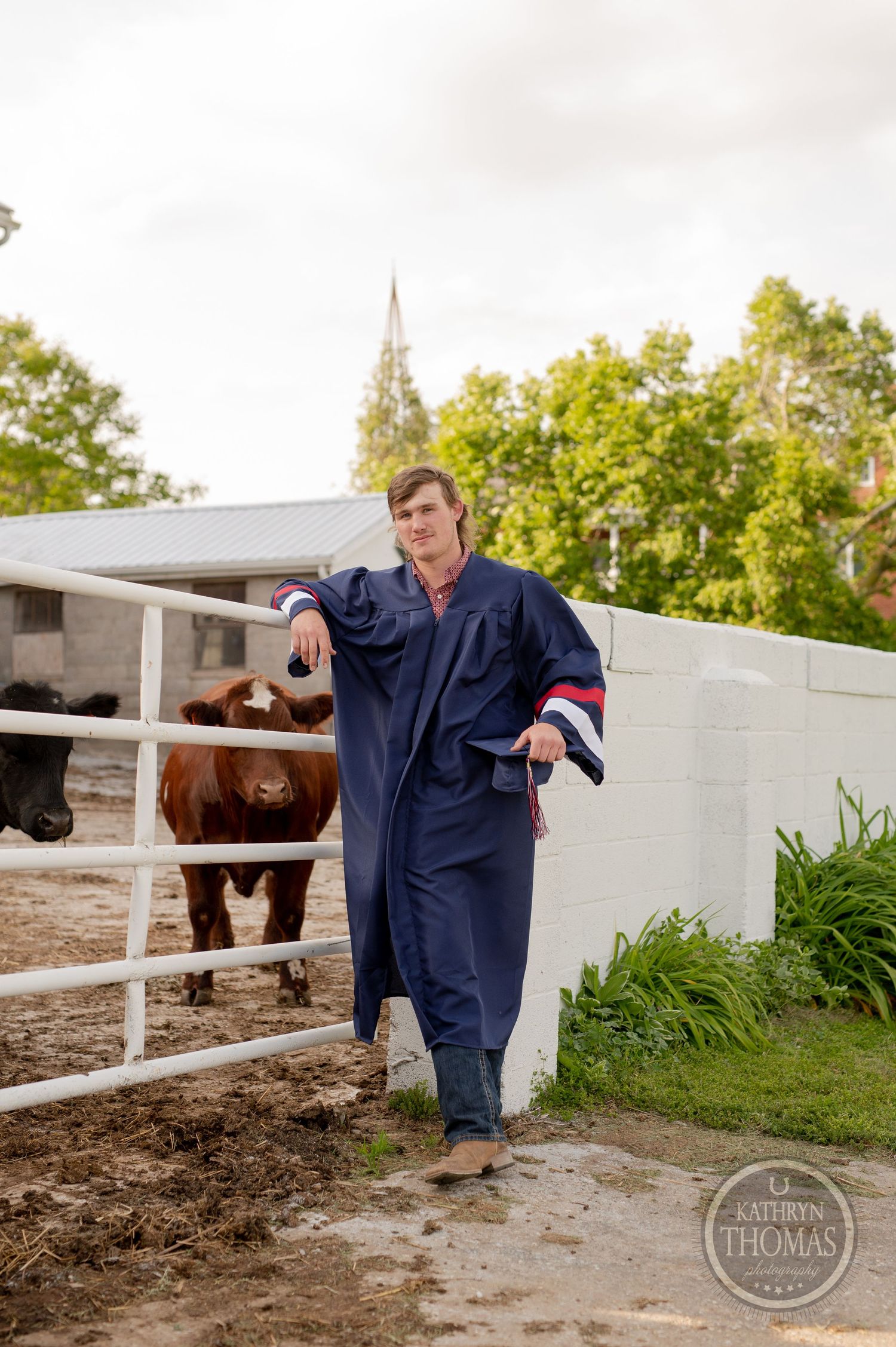 Graduate in blue regalia stands near fence with cow visible in background.