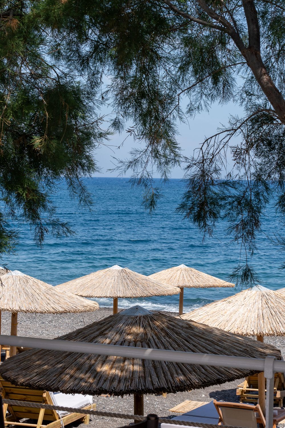 Thatched beach umbrellas and loungers along Mediterranean shore framed by pine trees.