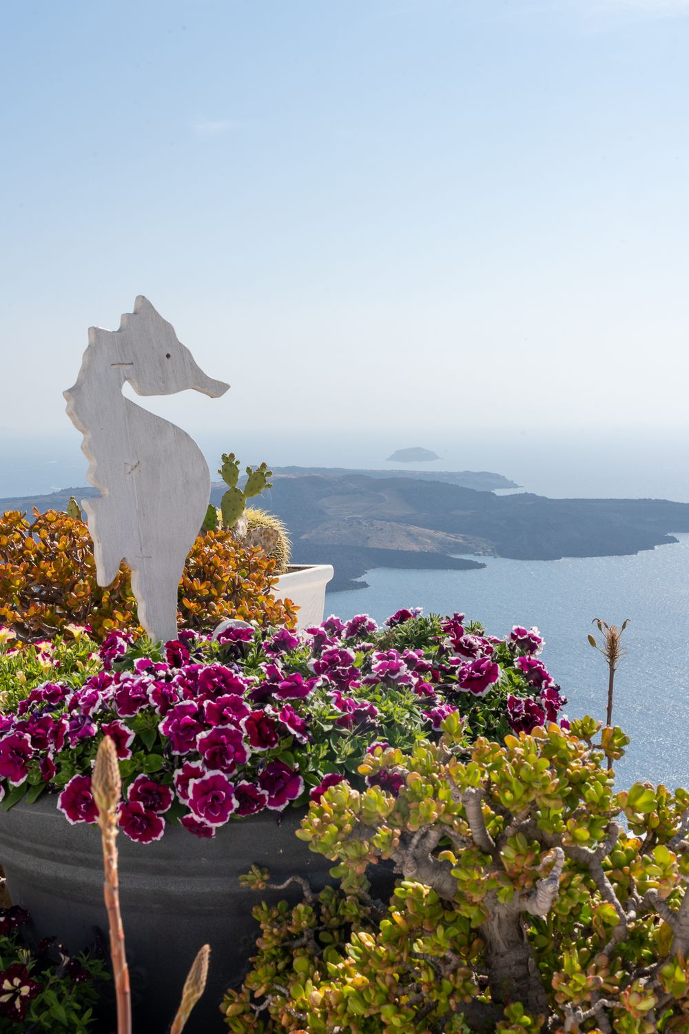 White seahorse decoration among purple flowers overlooking Santorini caldera and Aegean Sea.