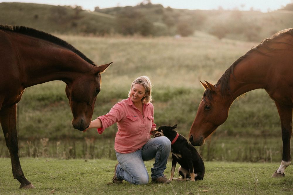 Two brown horses bend down towards someone kneeling in grass with a black dog at sunset.