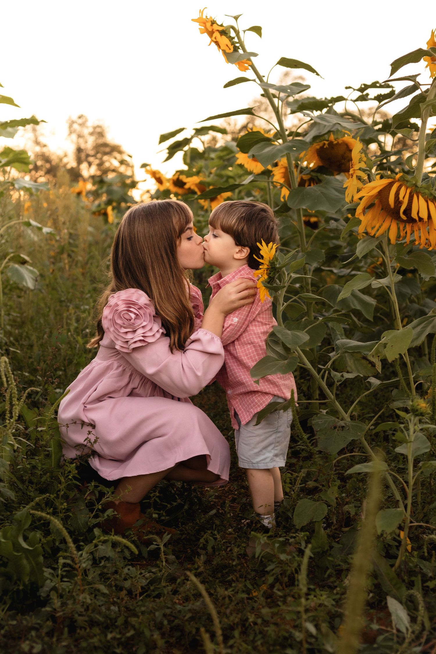 Charlottesville, Virginia family photographer, maternity, newborn, baby, children, outdoor sunflower session.