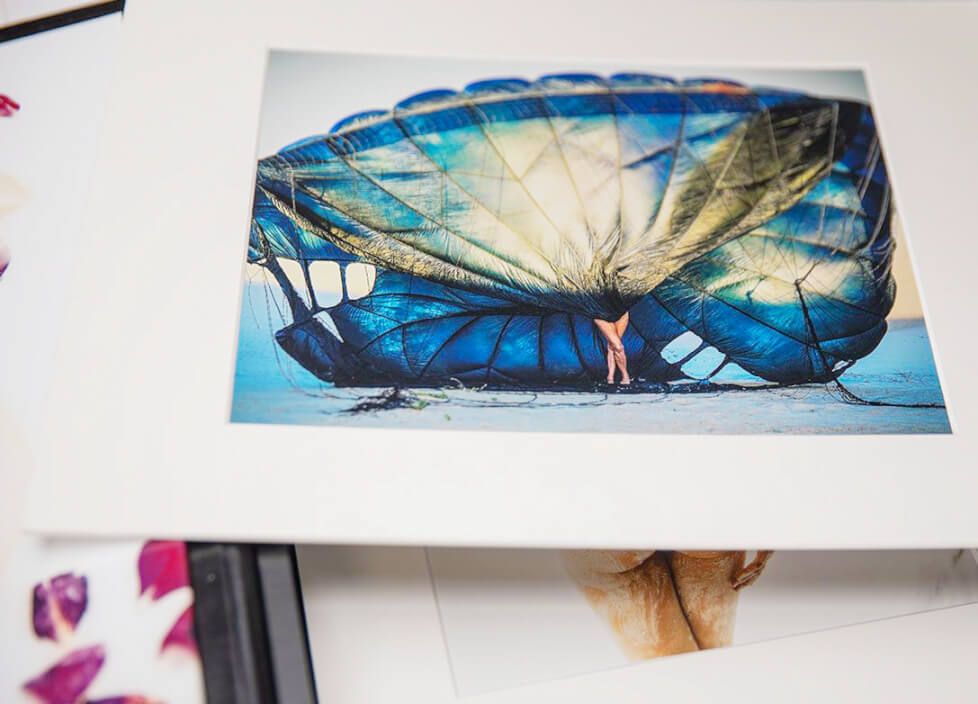 Artistic photograph featuring a vibrant blue and gold butterfly wing pattern against a white background.