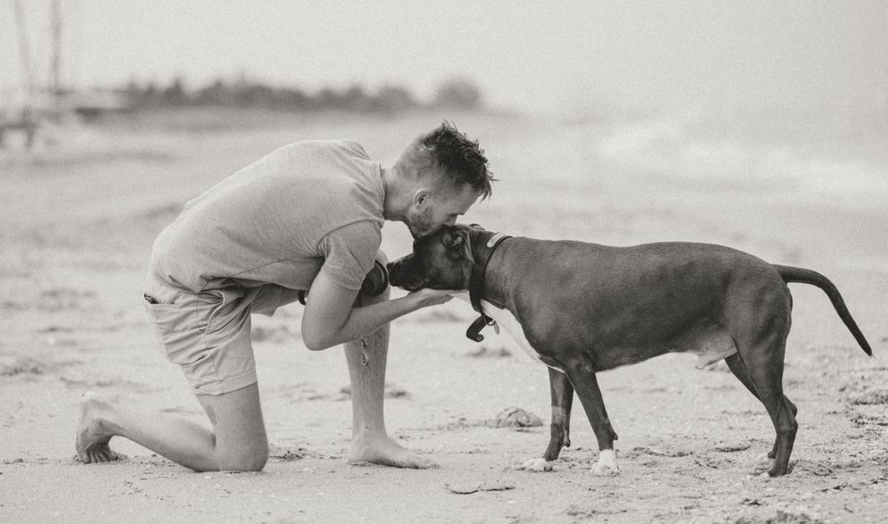 A playful interaction between a brown dog and their companion at the beach in black and white.