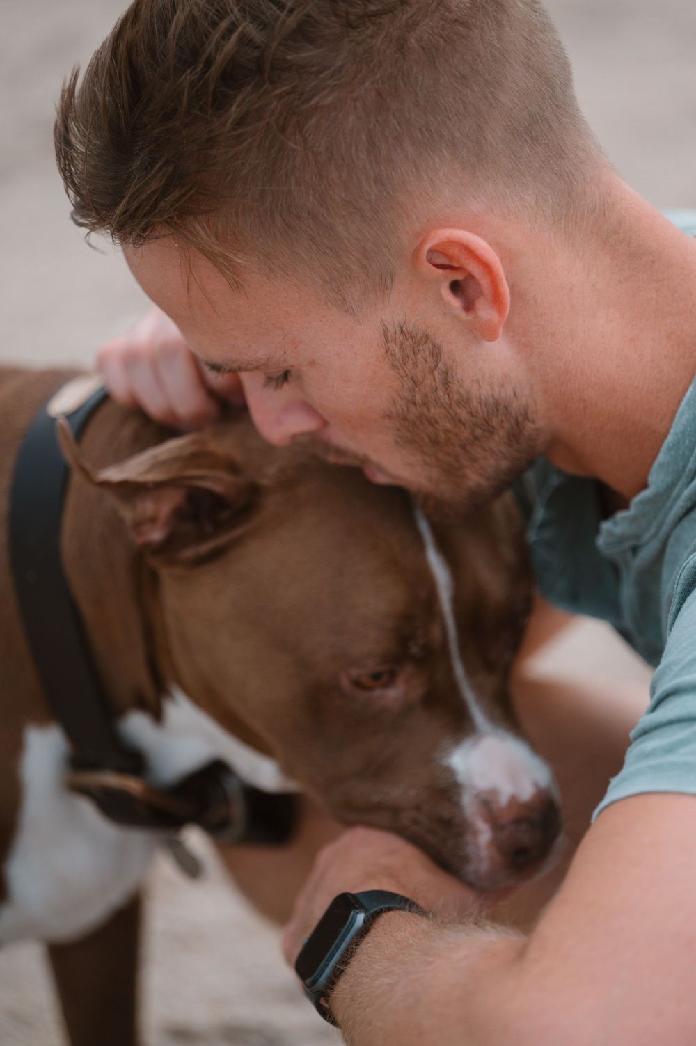 A close bonding moment between a brown pit bull dog and their human companion wearing a blue shirt.