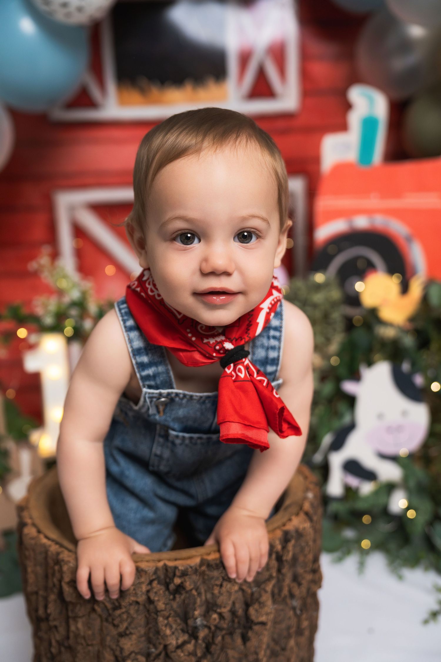 Adorable baby boy in denim overalls and red bandana sits in a tree stump at a farm-themed first birthday photo shoot.