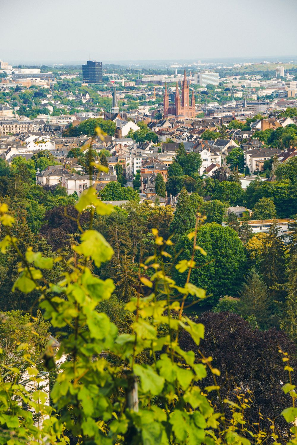 Panoramic cityscape view through green foliage showing urban buildings, church spires and trees on a sunny day.