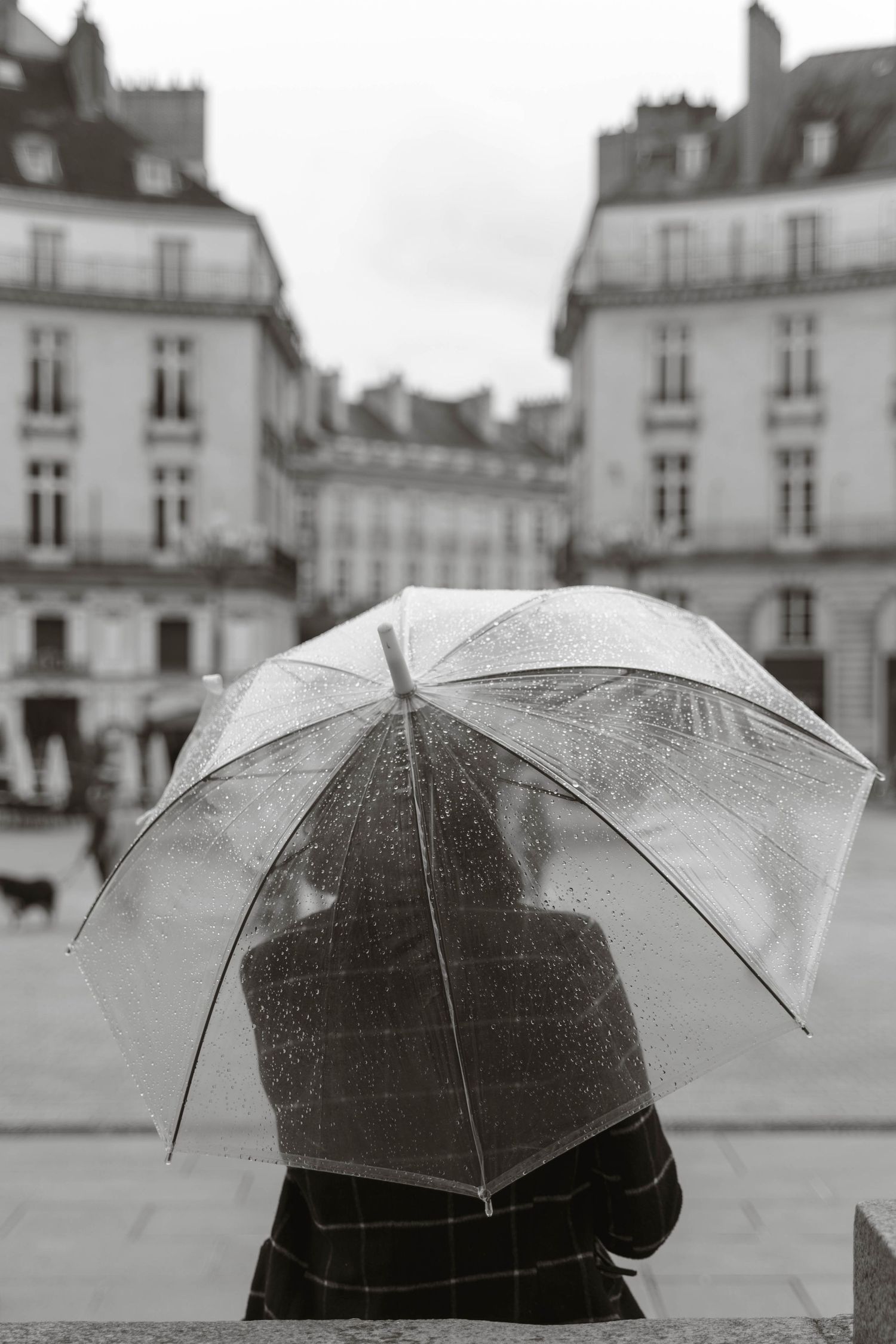 intimate weddings wedding photography photographer photographe photographie mariage intimistes elopement portraits Paris Nantes