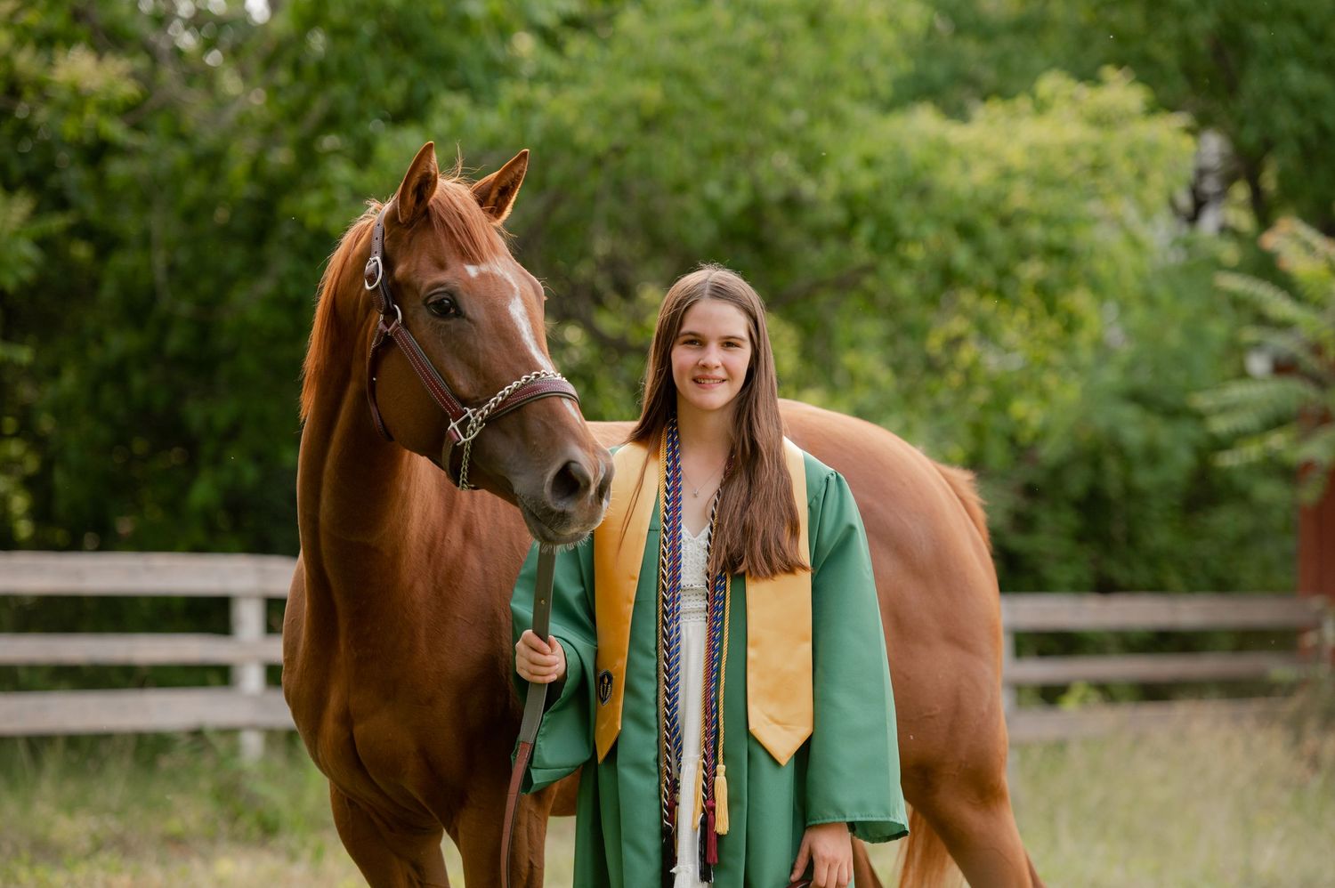 Graduation photo with a chestnut horse wearing academic regalia with green and gold colors.