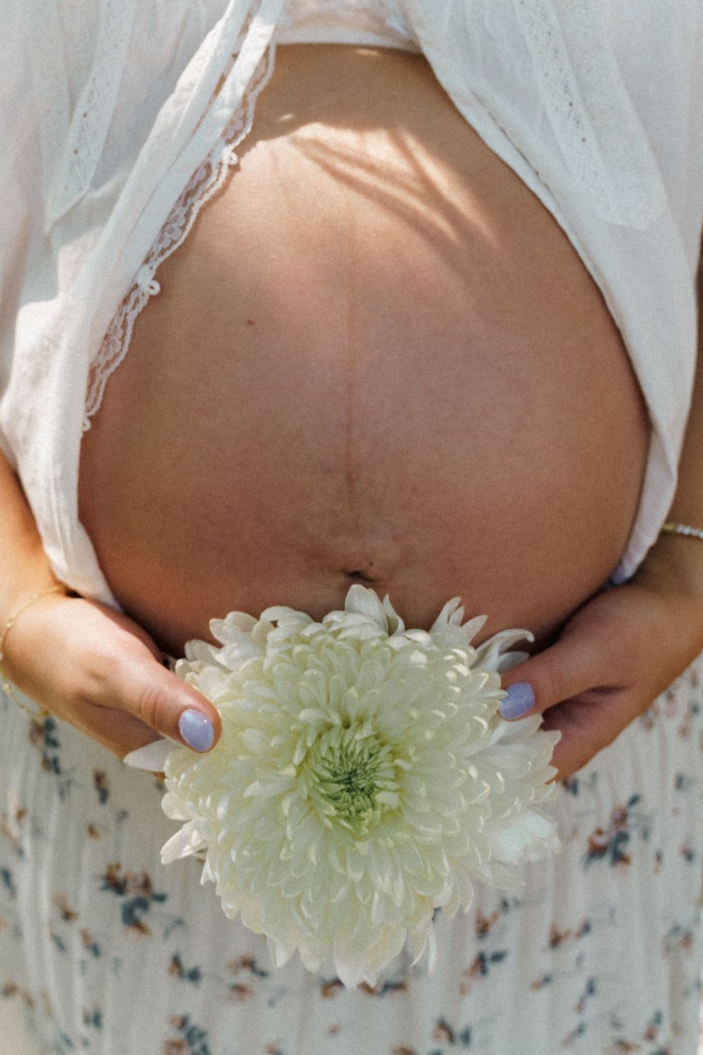 Close-up of pregnant womans bare belly holding a white chrysanthemum flower with light blue manicured nails.