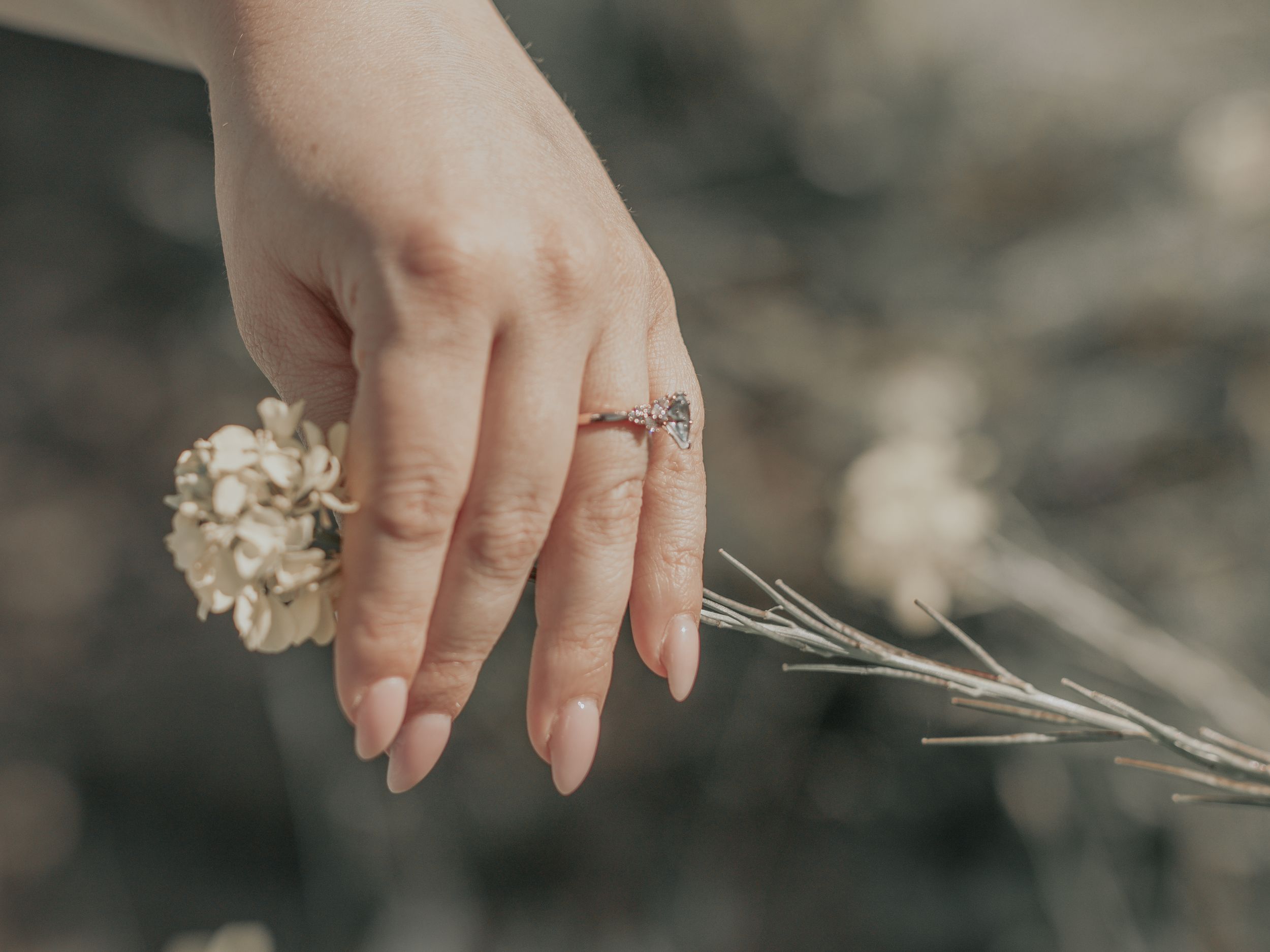Close up of engagement ring on hand holding dried flower stem.