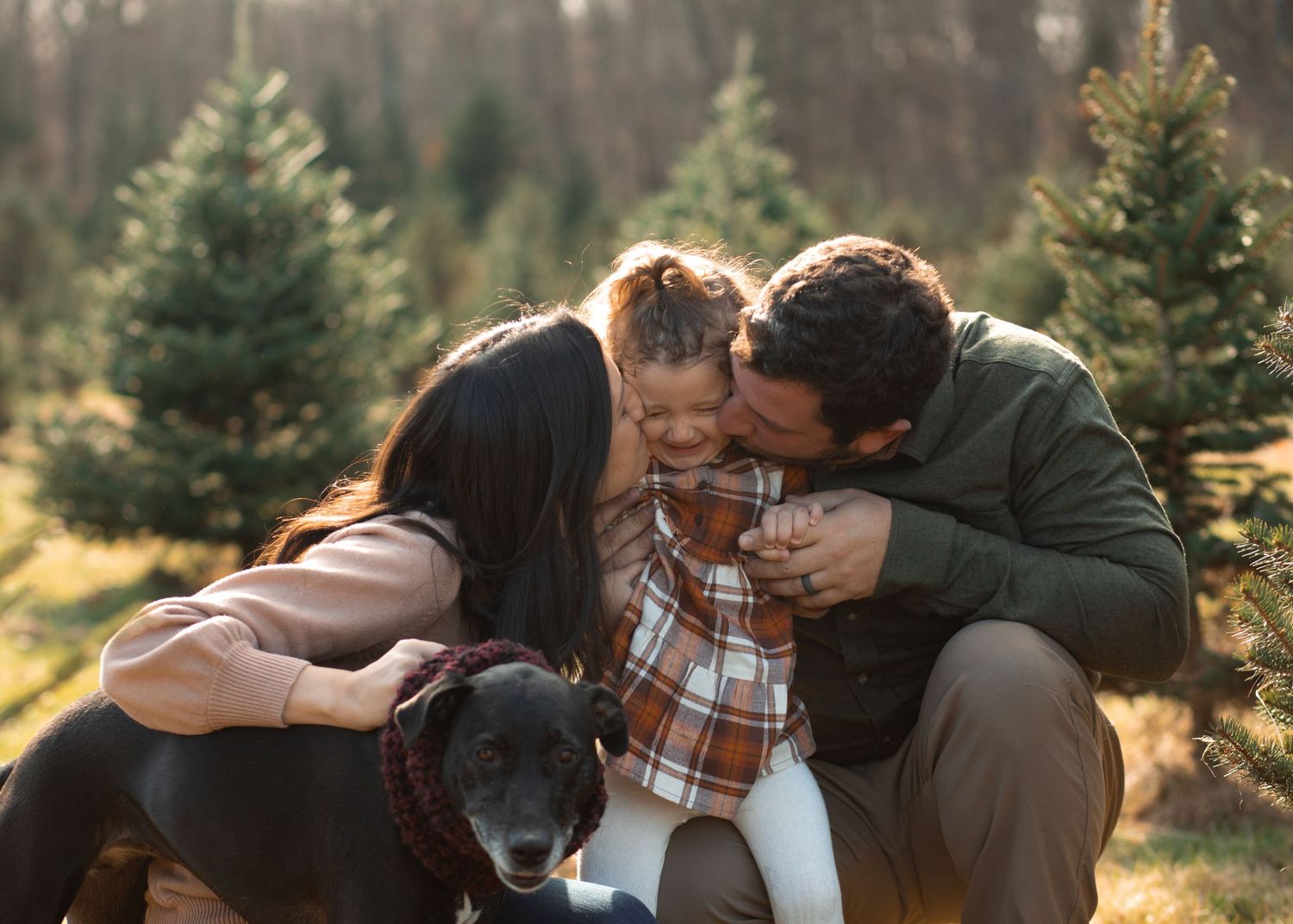 A family shares intimate moments together at a Christmas tree farm during golden hour at Christmastime with their dog in Massachusetts.