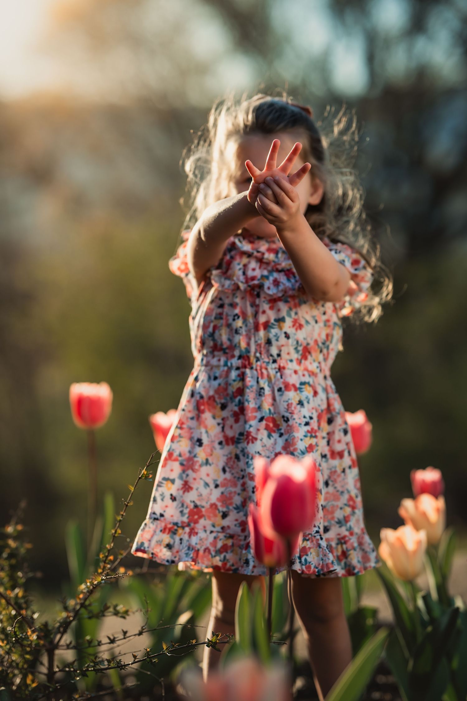 little girl standing in tulips holds up 4 fingers in front of her face to depict her age