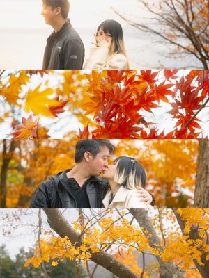 Couple sharing a romantic kiss surrounded by vibrant red and orange autumn maple leaves in a fall forest.