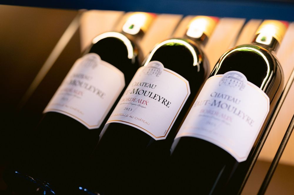 Three wine bottles with white labels sit side by side in warm lighting, showcasing elegant bottle presentation.