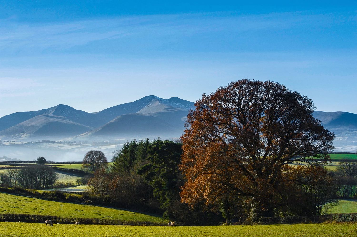Panoramic landscape view of rolling hills and mountains with autumn trees under blue skies.