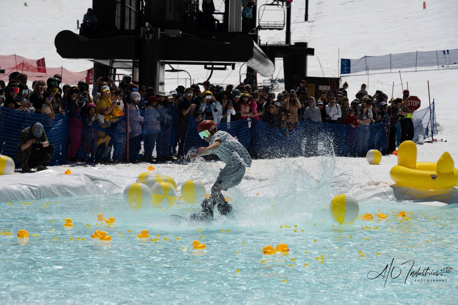 Action shot of spring skiing pond skimming event with yellow rubber ducks floating in blue water.