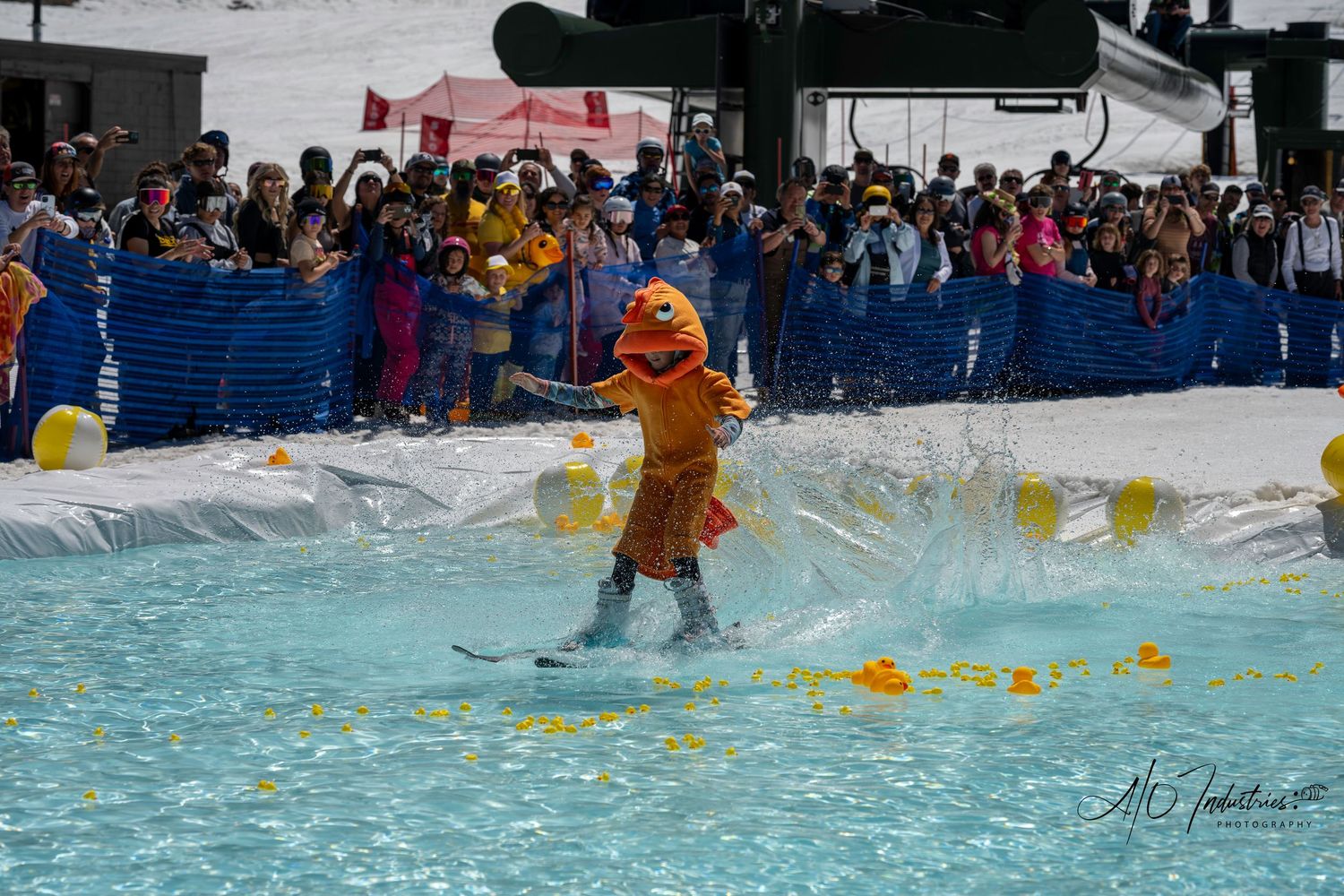 Skier in orange outfit makes splash crossing pond with rubber ducks during spring event.