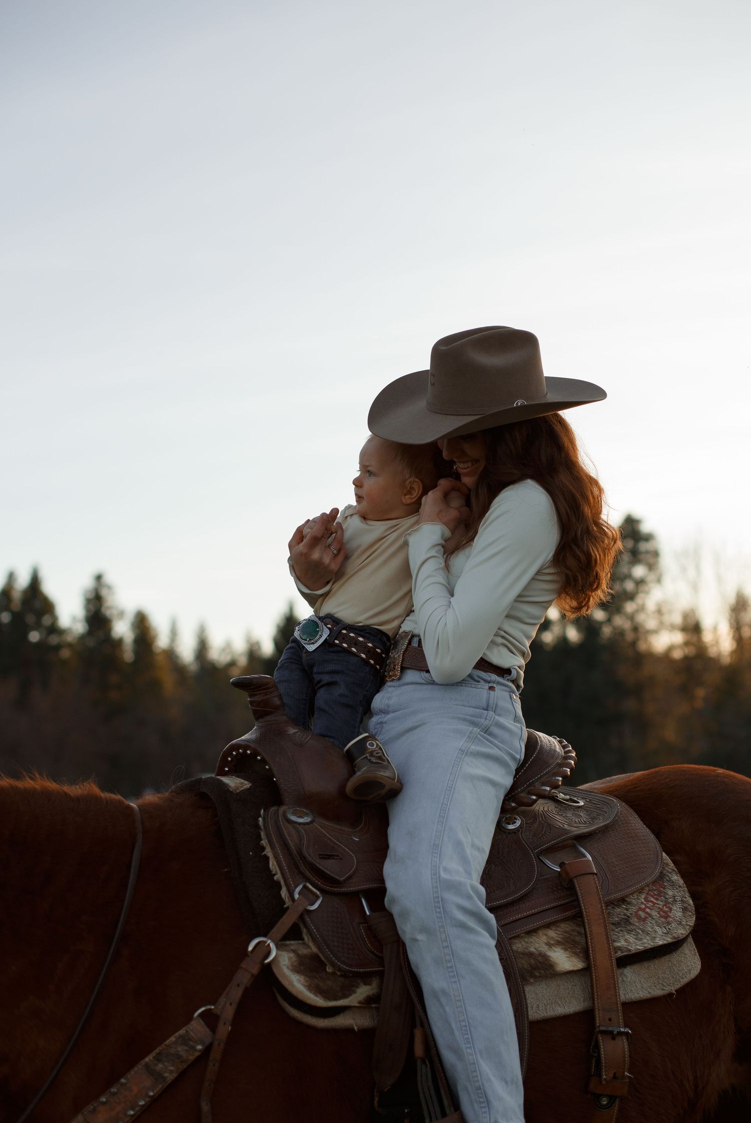 A person in a cowboy hat sits on horseback during sunset with evergreen trees silhouetted in the background.