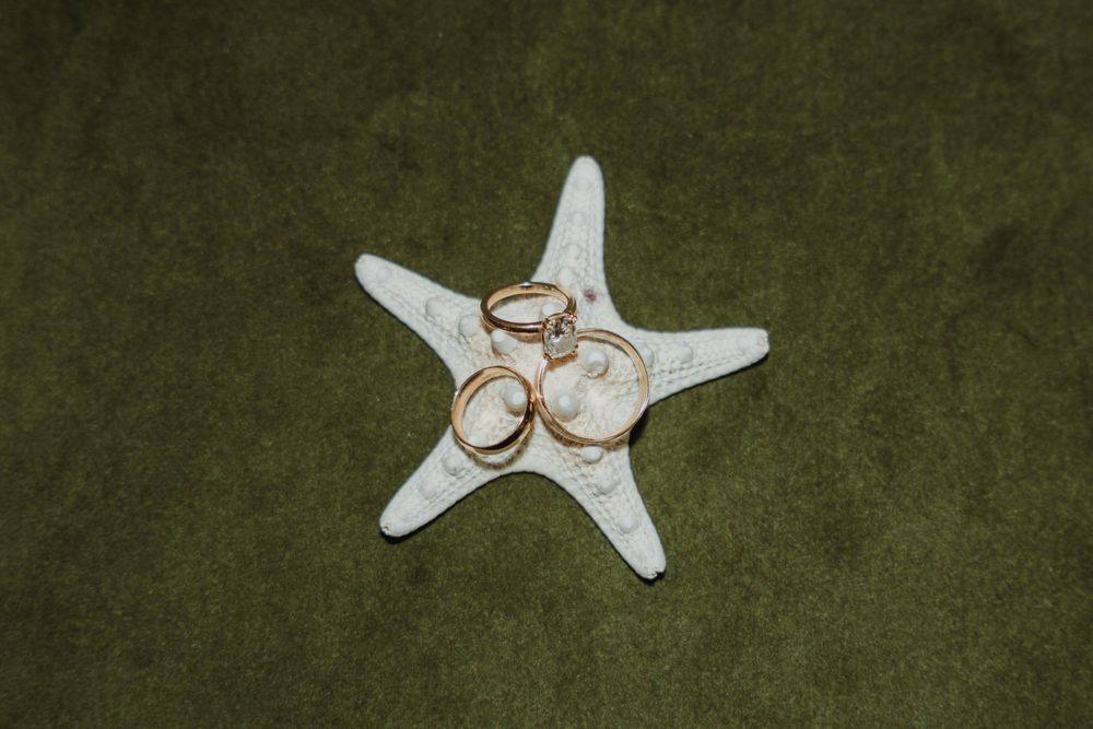 Gold wedding rings resting on a white starfish against a green textured background, perfect for beach wedding inspiration.