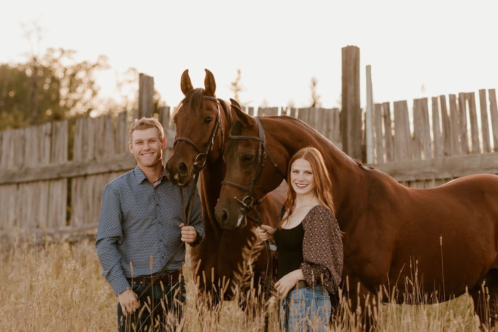 A smiling couple stands with two chestnut horses near a rustic wooden fence in golden hour light.