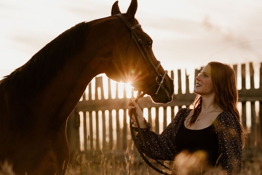 A laughing redhead woman bonds with a chestnut horse at sunset, sunlight streaming between them.