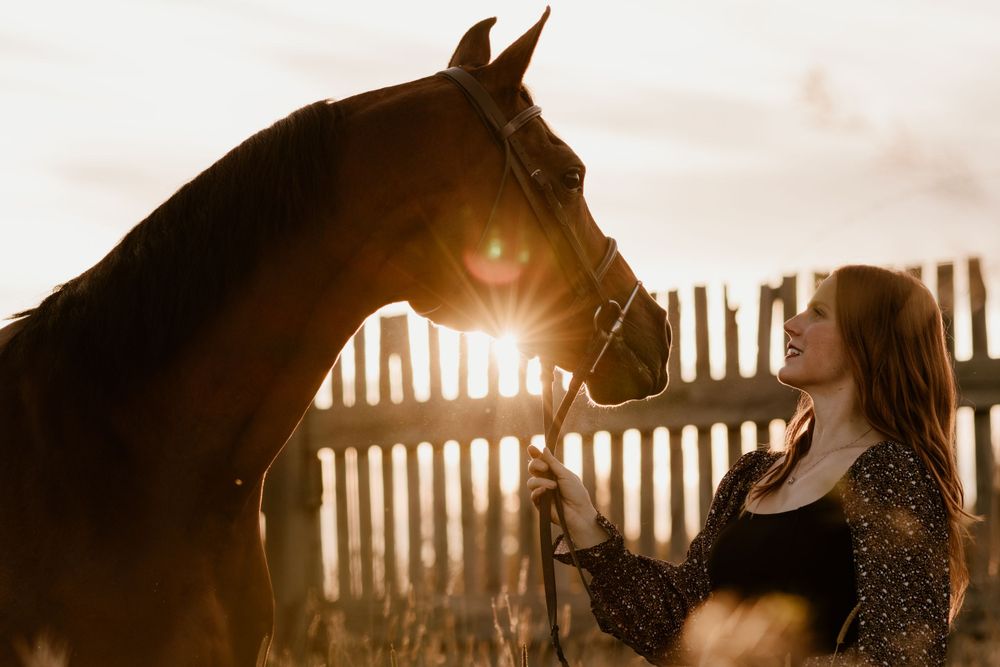 Woman bonding with chestnut horse in warm sunset light near wooden fence.