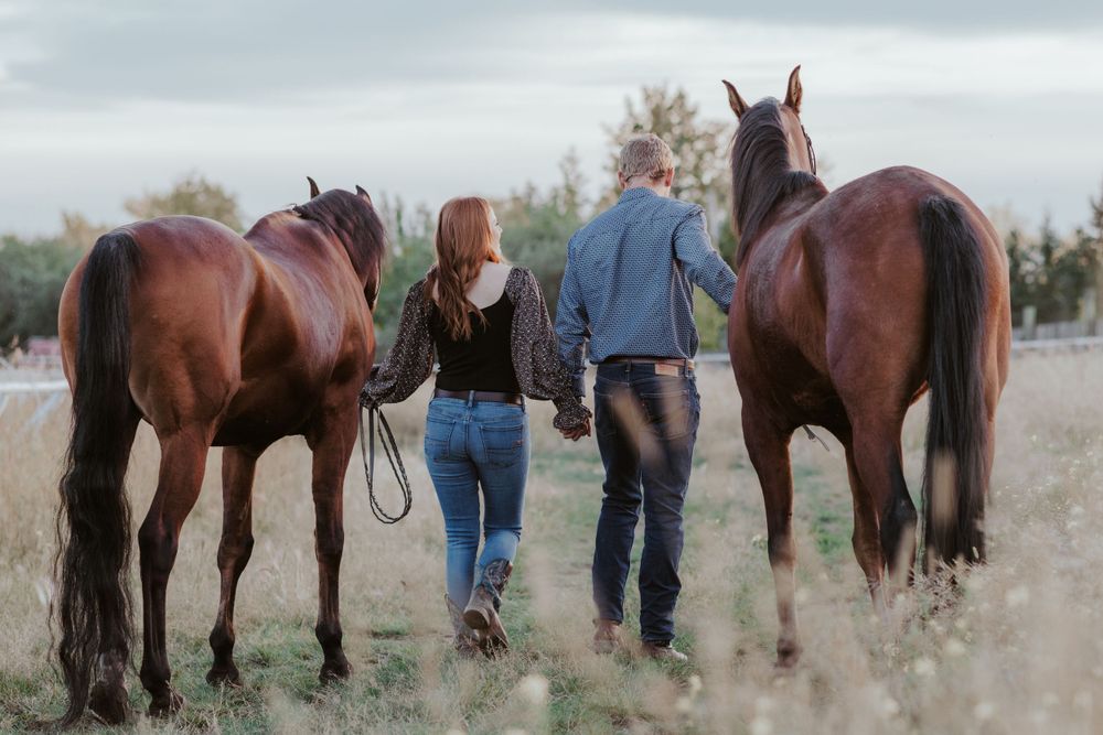 Couple walking away with two chestnut horses through a golden meadow from behind.