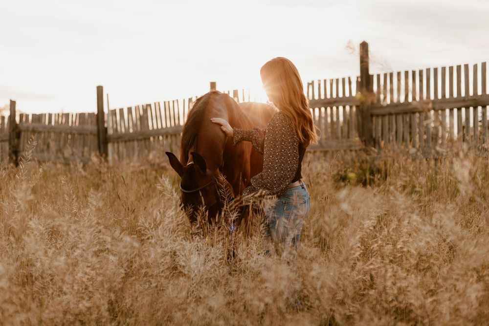 Woman with long hair standing with a horse in a sunlit golden field near a fence.