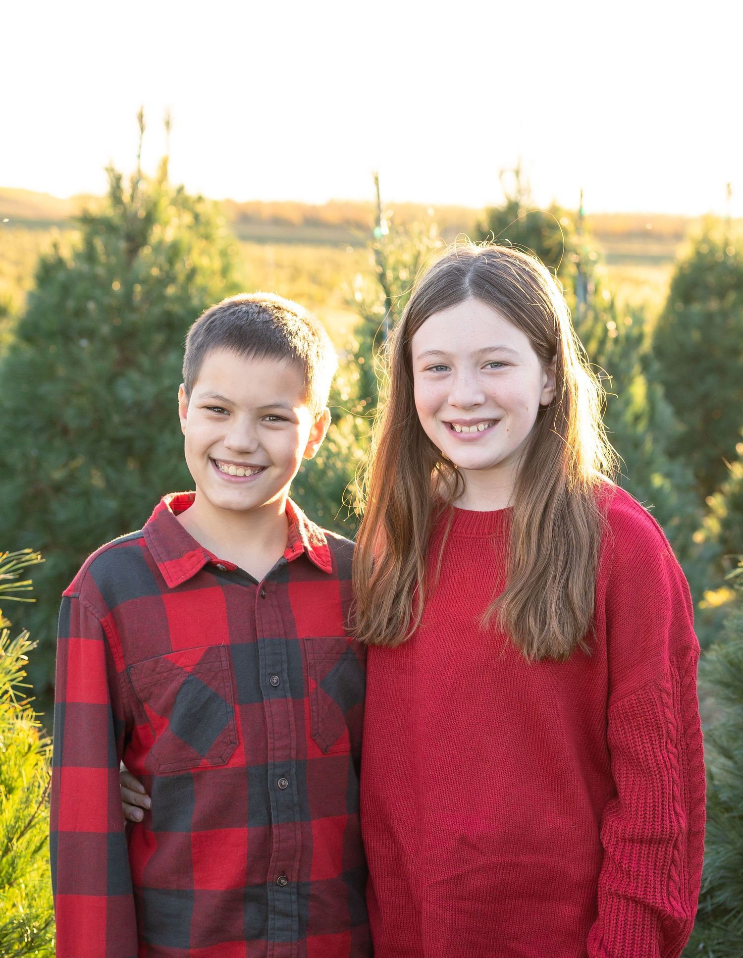 christmas tree farm session belleville illinois