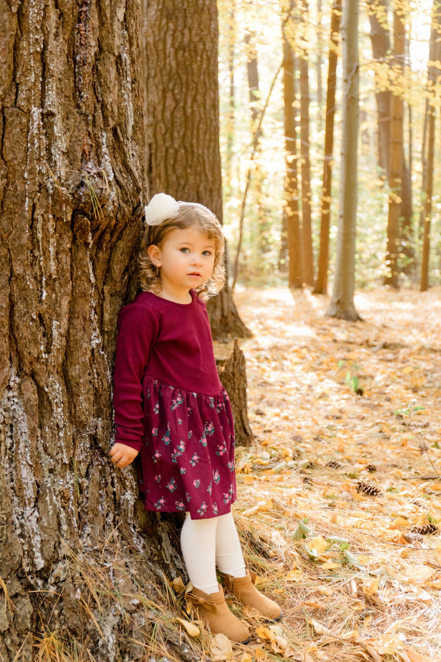 Autumn forest scene with sunlit trees and fallen leaves on the ground.
