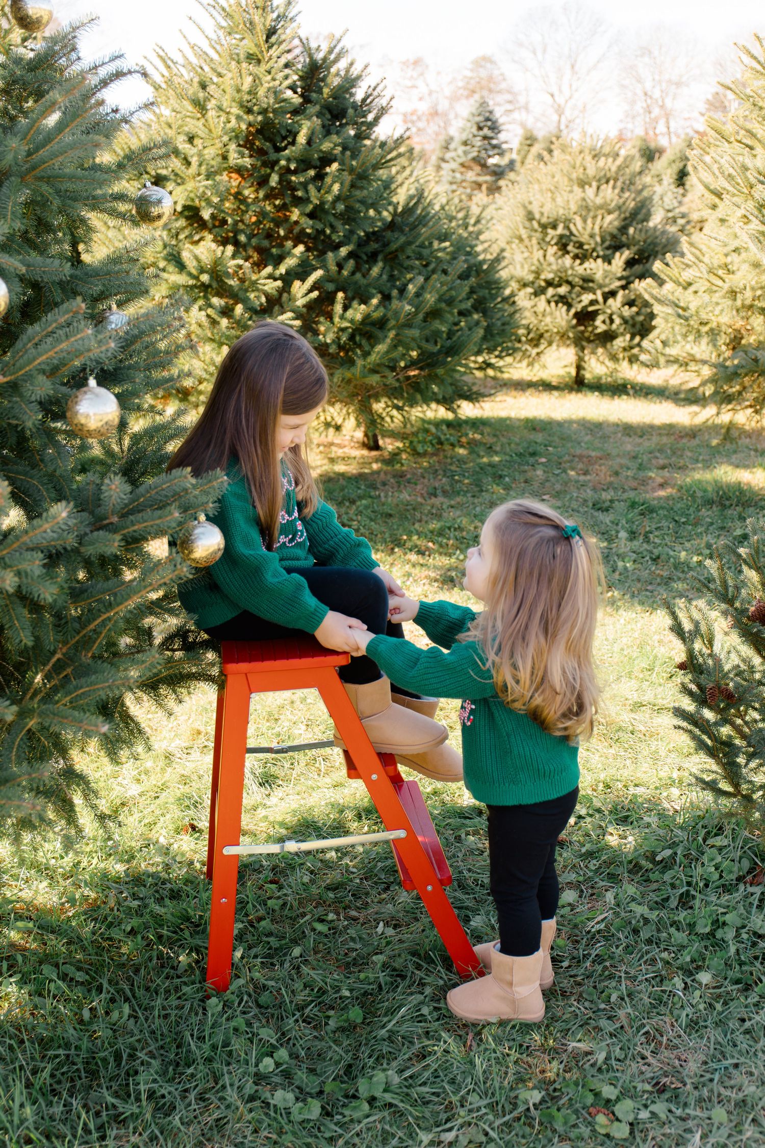 Children in green sweaters decorating a Christmas tree using an orange ladder.