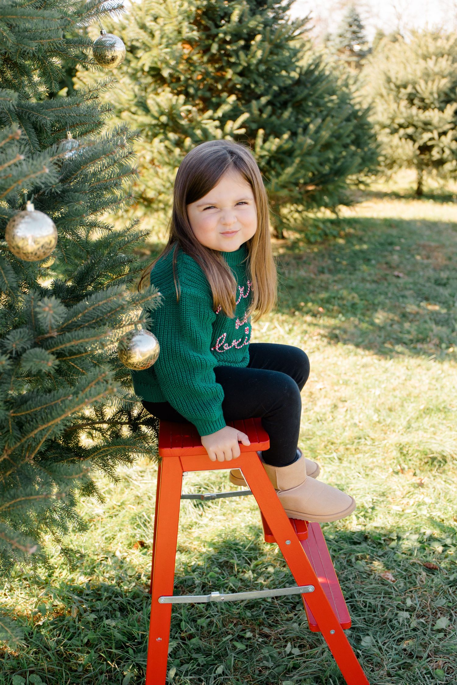 A child in a green sweater sits on an orange ladder near evergreen trees.
