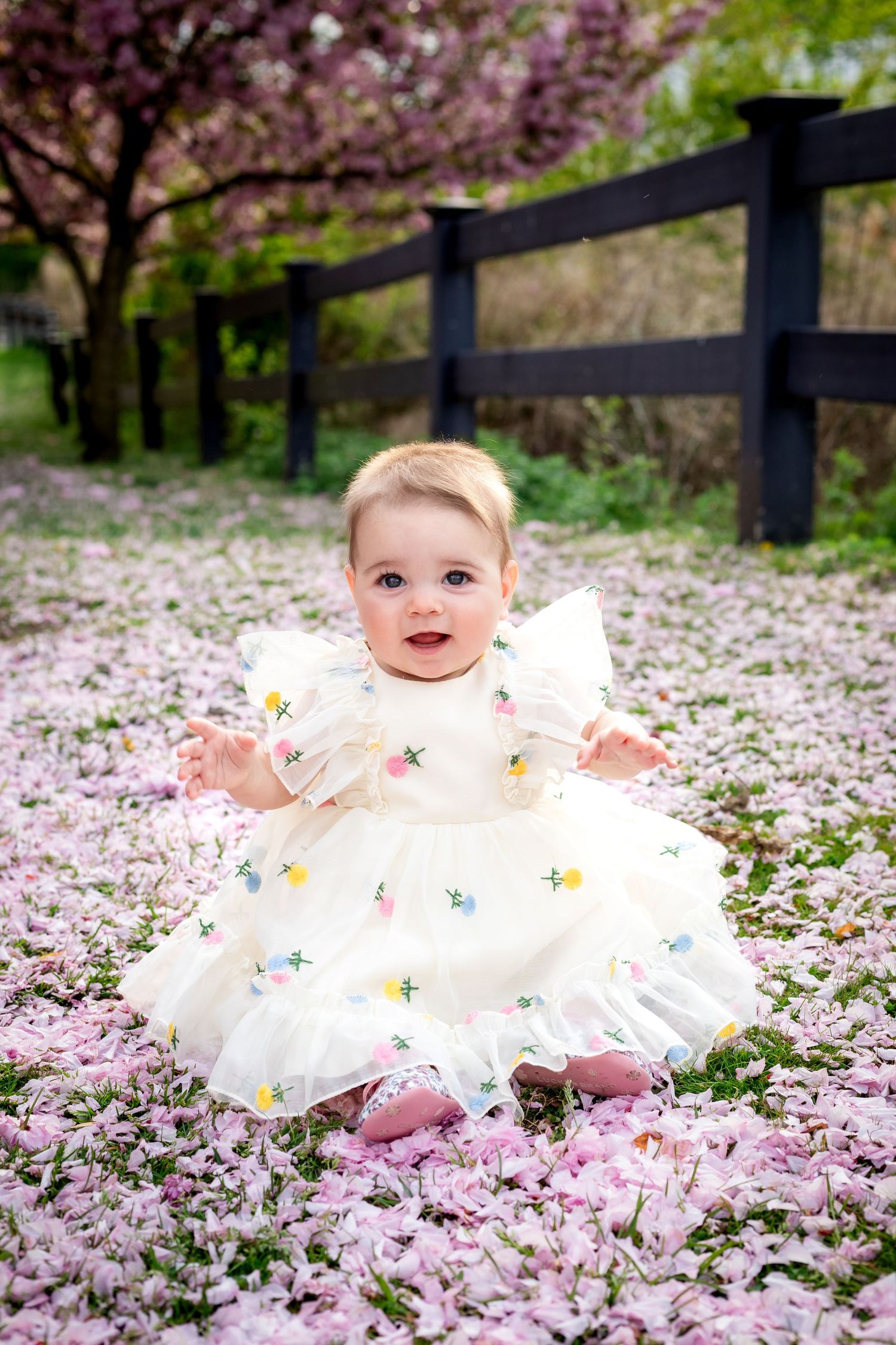 A child in a white dress lies among scattered pink cherry blossom petals near a black fence.