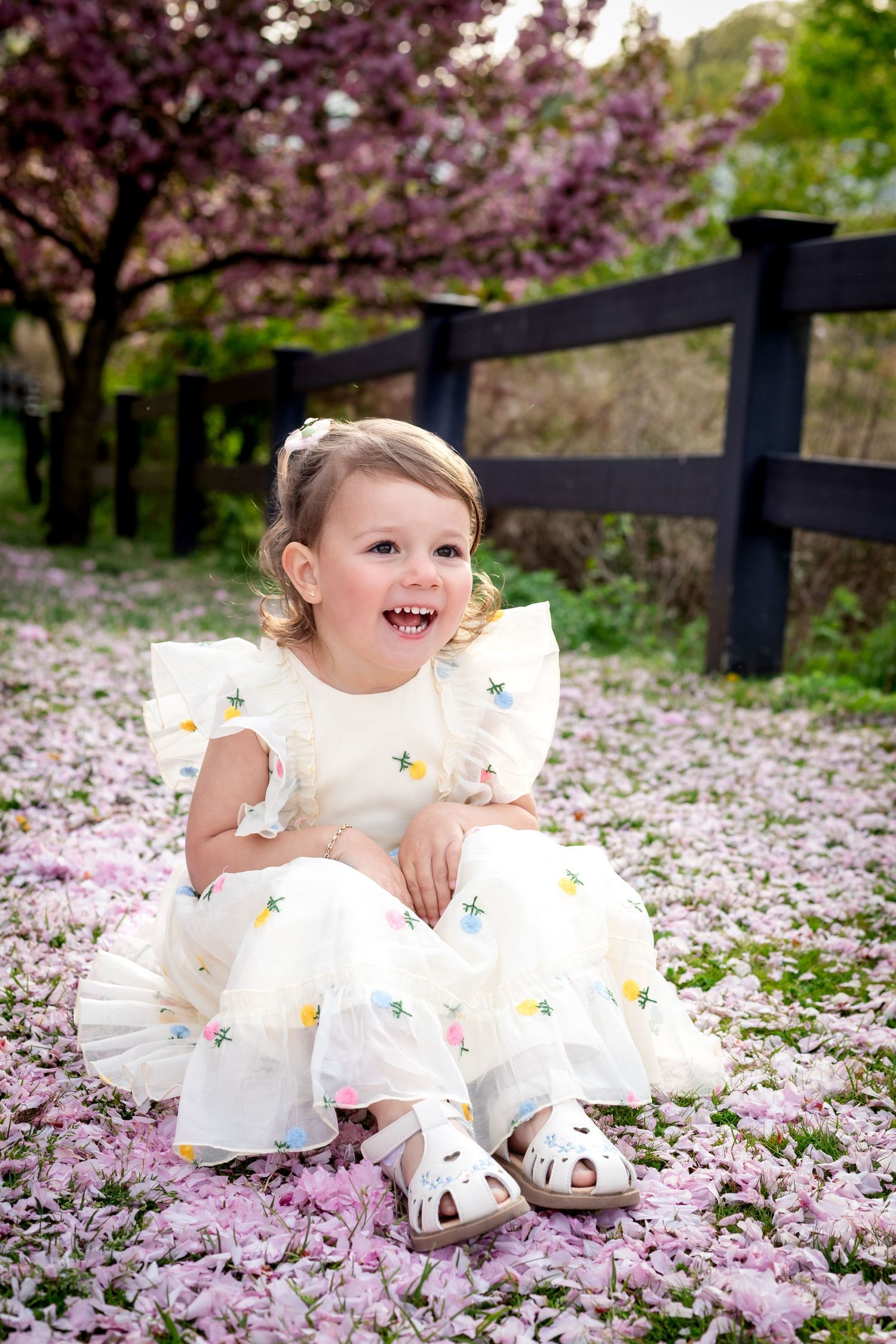 A joyful child in a white floral dress sits among fallen cherry blossoms next to a black fence on a spring day.
