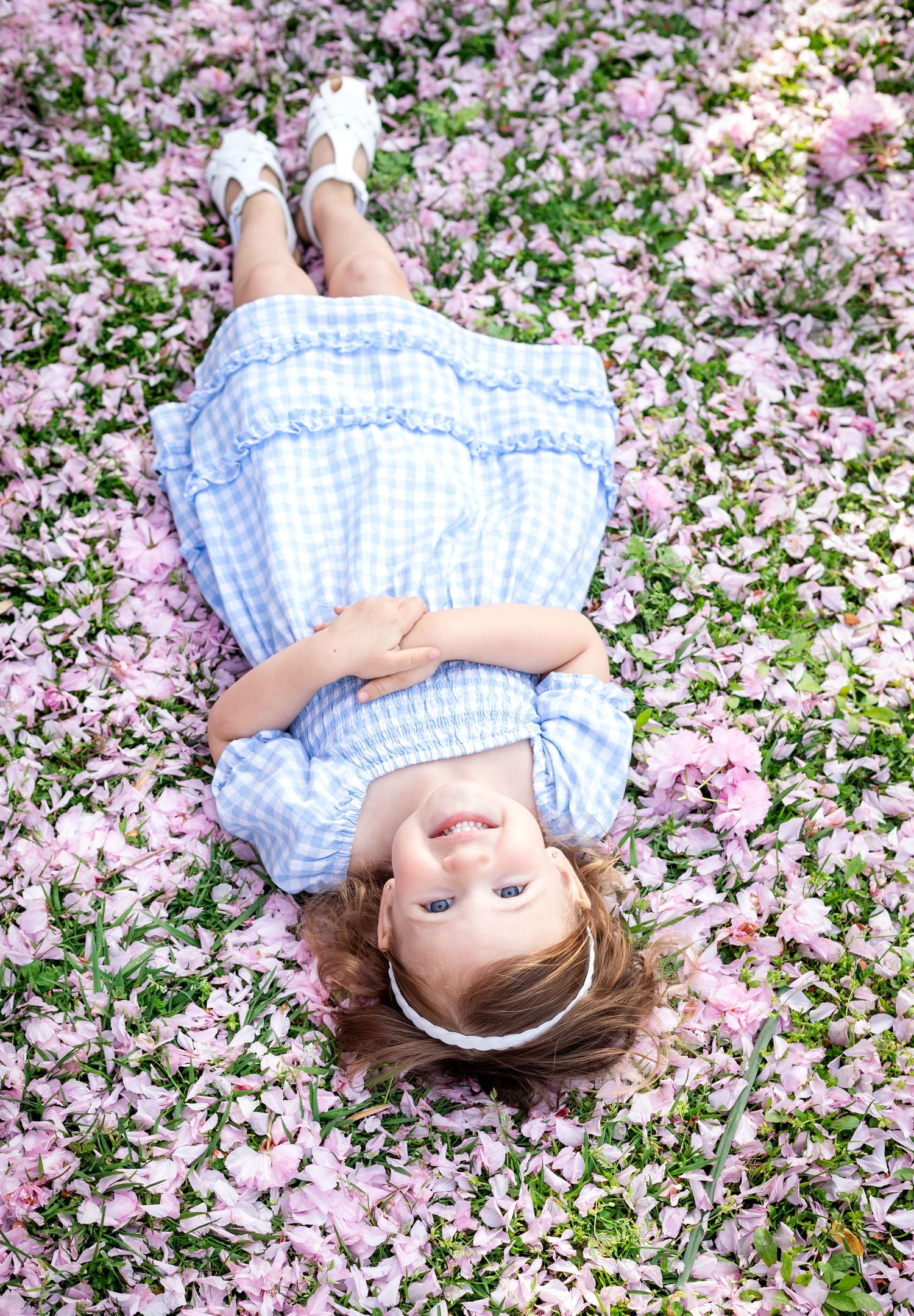 A series of photos showing someone lying in fallen cherry blossoms wearing a blue gingham dress.