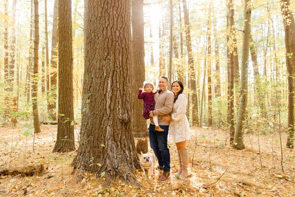 A group stands together by a large tree trunk in a sunlit autumn forest with golden leaves and a dog.