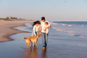 Golden retriever dog walks with family along peaceful beach at sunset by Hamptons photographer.