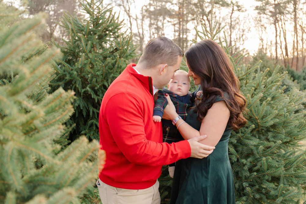 A couple shares a romantic moment while selecting a Christmas tree at a festive tree farm during winter.